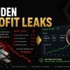 The Profile Leak Audit